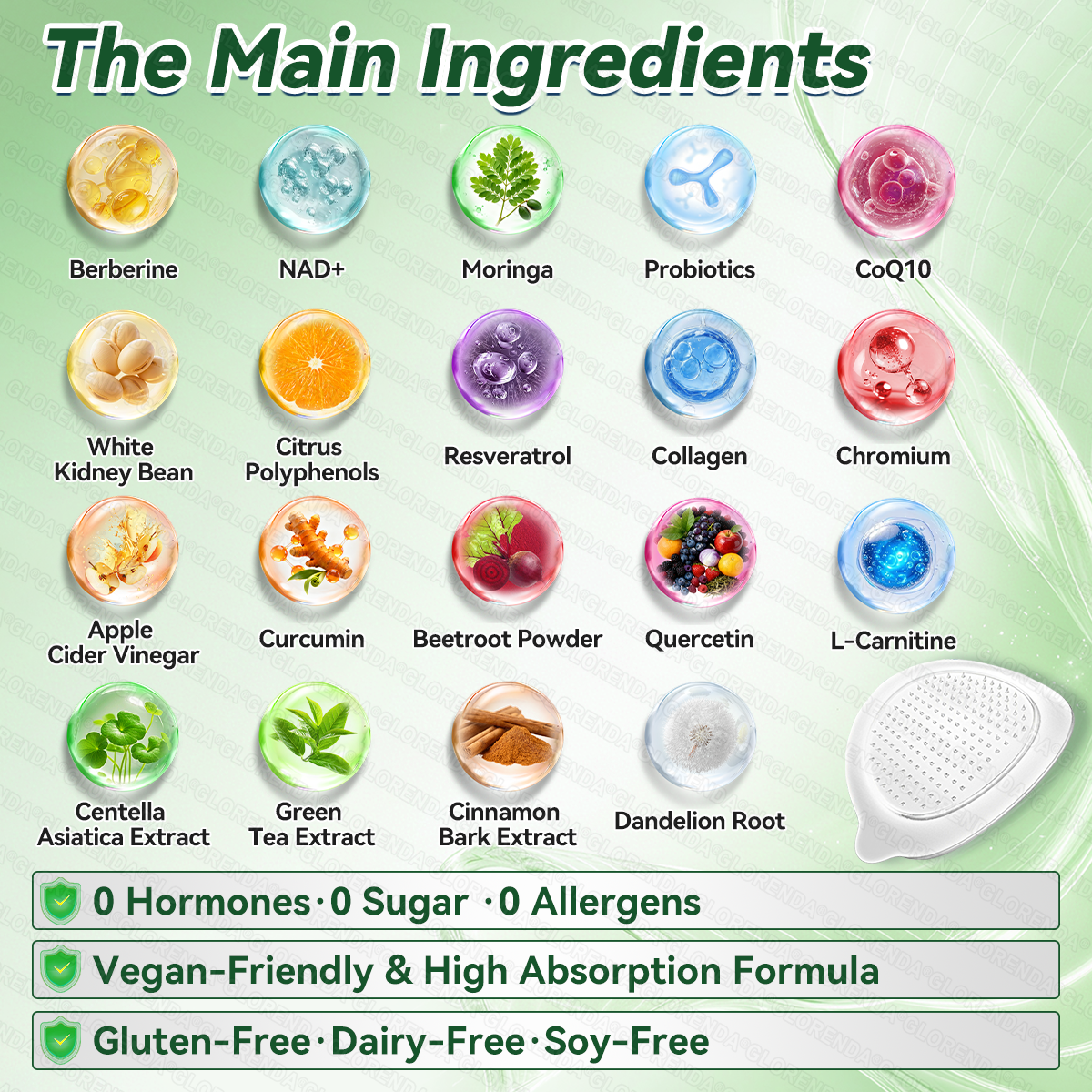 𝐆𝑳𝑶𝗥𝗘𝗡𝘿𝘼®